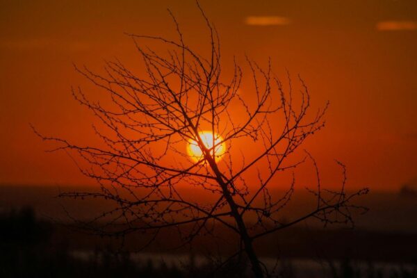 Horehouse: לחקור את ההיסטוריה השנויה במחלוקת ואת המציאות המודרנית של ממסד ידוע לשמצה Horehouse: לחקור את ההיסטוריה השנויה במחלוקת ואת המציאות המודרנית של ממסד ידוע לשמצה